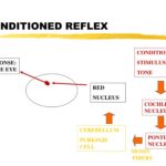 Opioids, outreach and innovation | Podcast